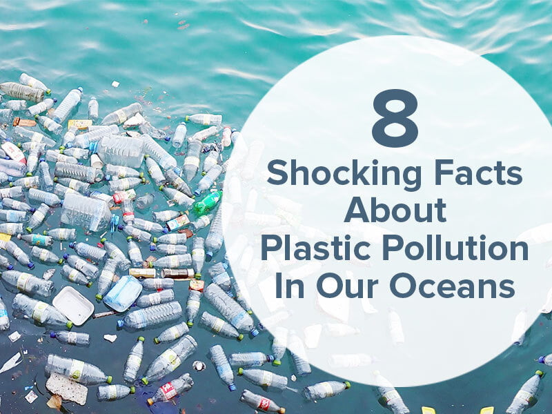 8 Shocking Facts About Plastic Pollution In Our Oceans EKI Energy